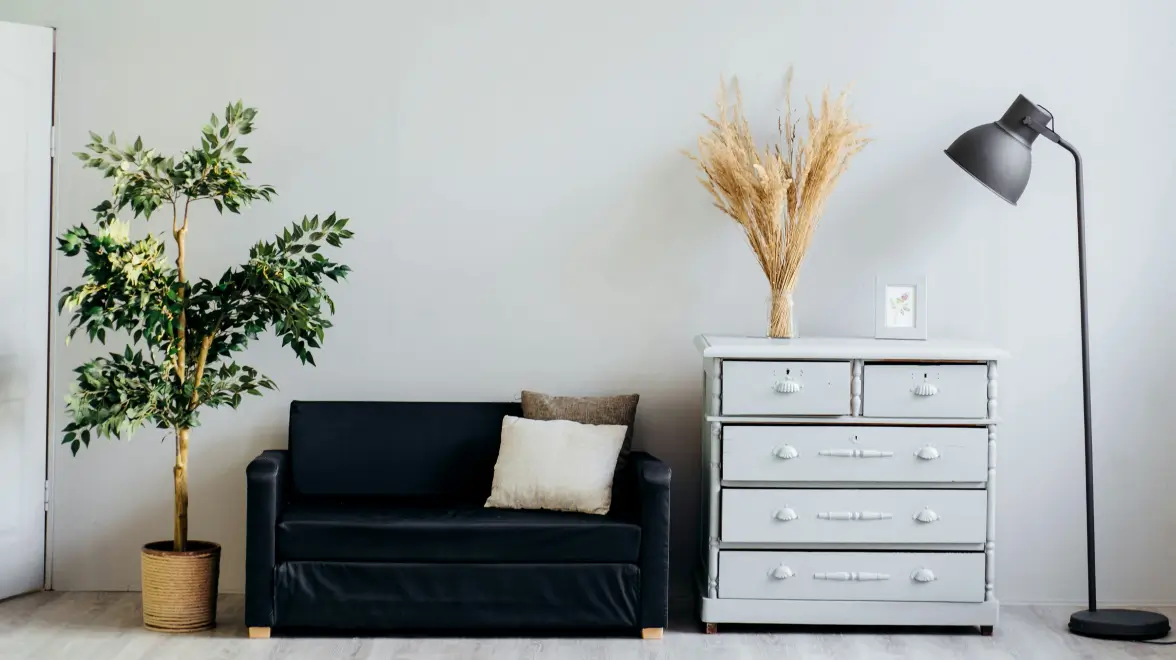 Room with highlighted furniture